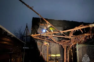 В Курской области за сутки огнеборцы спасли троих человек