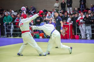 Курские рукопашники  взяли 22 золотые медали турнира «Вершина»