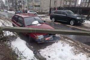 В Курске на улице Халтурина столб и дерево упали на припаркованный автомобиль