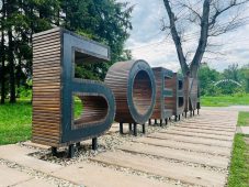 В Курске создание парка альпак обсудят с экоактивистами