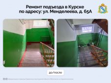 По поручению Александра Хинштейна в подъезде на улице Менделеева в Курске сделали ремонт