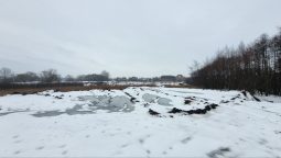 В Курске ищут тех, кто свозил мусор на проспект Булатова