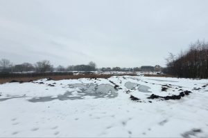 В Курске ищут тех, кто свозил мусор на проспект Булатова