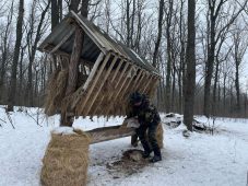 Обитателей курских лесов в период морозов будут больше кормить