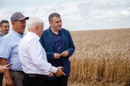 Курские агрокомпании получат льготные кредиты