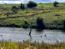В трёх районах Курской области начали «генеральную уборку» опасных объектов