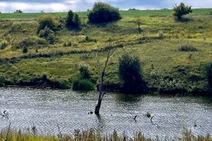 Экологам предстоит «генеральная уборка»