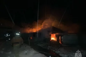 В деревне Александровка Курского района в пожаре погиб 64-летний мужчина