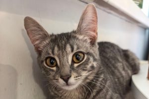 В Курске 18 адресов остались без отопления из за ремонта теплосети