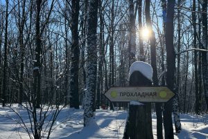 Экстремальных морозов в Курской области больше не будет