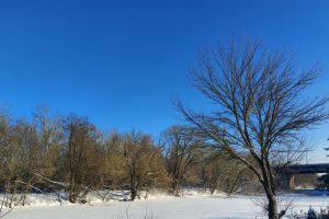 Синоптики предупреждают жителей Курской области о морозах до -32°