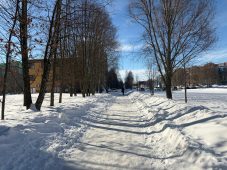 Работников маркетплейсов и супермаркетов в Курске обяжут чистить снег