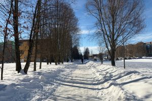 Работников маркетплейсов и супермаркетов в Курске обяжут чистить снег