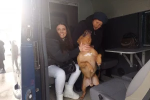 Жительницы Суджанского района рассказали о 19 месяцах оккупации и украинского плена