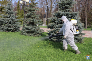 В Курске обработают парки от клещей