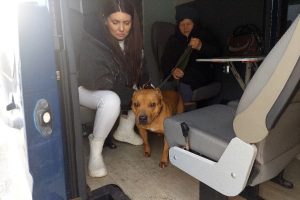 Куряне вернулись домой