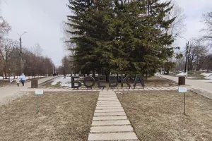 В Курске «Парк альпак» перенесут вглубь Боевки