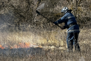В Курской области за сутки шесть раз горела сухая трава
