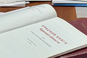 Красную книгу ждёт обновление