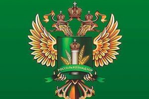 Сыроделы подвели с качеством