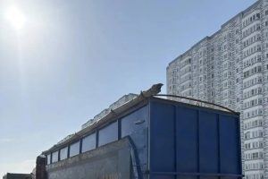 Курян просят убрать автомобили с обочин на проспекте Дериглазова