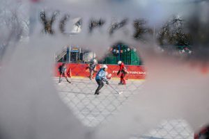 Фестиваль «Губернаторские ёлки» в Курской области объединил около 55 тысяч участников