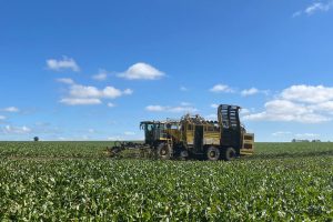 КФХ в Таловском районе Воронежской области требуются сотрудники