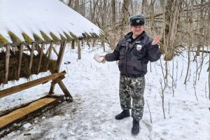 Звериные столовые