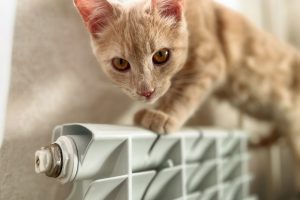 Отопительный сезон завершается