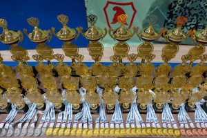 Курянки взяли золото первенства России по рукопашному бою