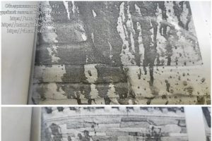 С курянки взыскали более 100 тысяч рублей за порчу забора соседки