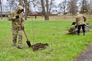 В парке «Победы» Курского района высадили 120 деревьев в память о защитниках приграничья