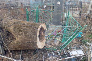 Уборка обернулась неприятностями