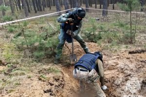 В Курской области за неделю обезвредили около 2 000 взрывоопасных предметов