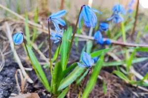 На Курскую область надвигается похолодание