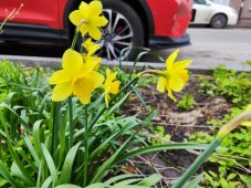 12 апреля в Курской области ожидаются туман и заморозки