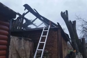 В Понырях Курской области при пожаре погибли 25 индюшат