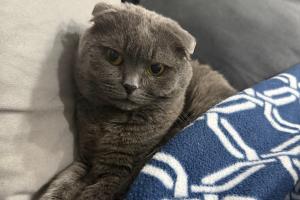 В Курске отопление отключат 23 апреля