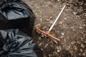 В Курской области пройдет Всероссийская неделя субботников «Мы за чистоту»