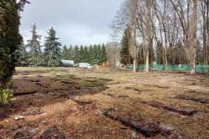 В Курске возбудили уголовное дело после повреждения мемориала «Памяти павших»