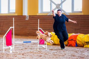 В Курской области прошел чемпионат по спортивно-прикладному собаководству