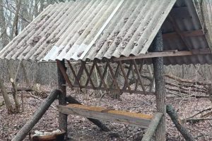 Минприроды Курской области провело 154 рейда за неделю