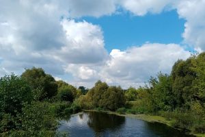 В Курской области на водоёмах начался нерест