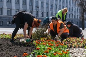 Город расцвёл в мае