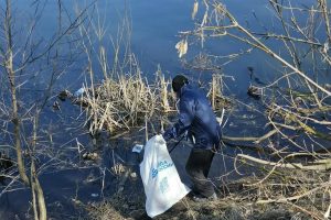 Куряне очистили более 43 км берегов водоемов в рамках акции «Вода России»