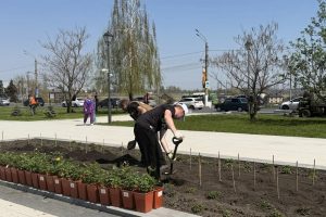 В курском парке «Патриот» высадили 450 роз к Дню Победы