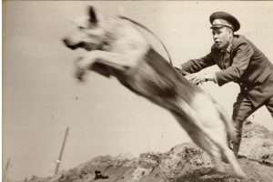 Бой после победы