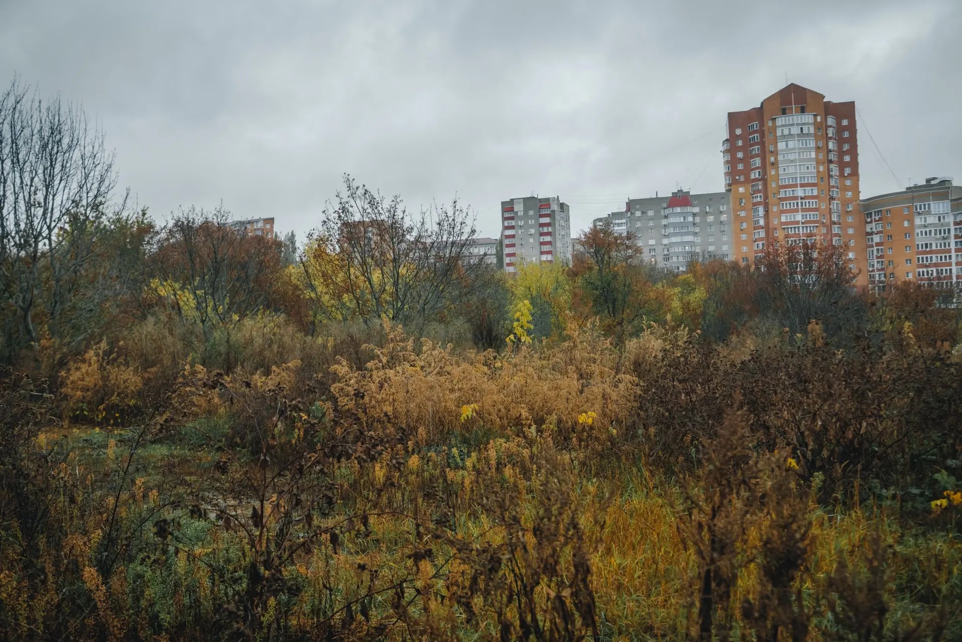 Арбитражный суд признал незаконной передачу участка на улице Мирной в Курске