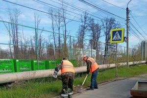 Городские службы продолжают уборку улиц и парков Курска