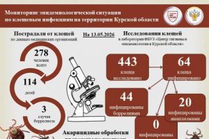 Клещи активизировались